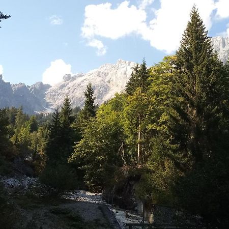 Appartmenthaus Hochkoenig Muhlbach Am Hochkonig Bagian luar foto
