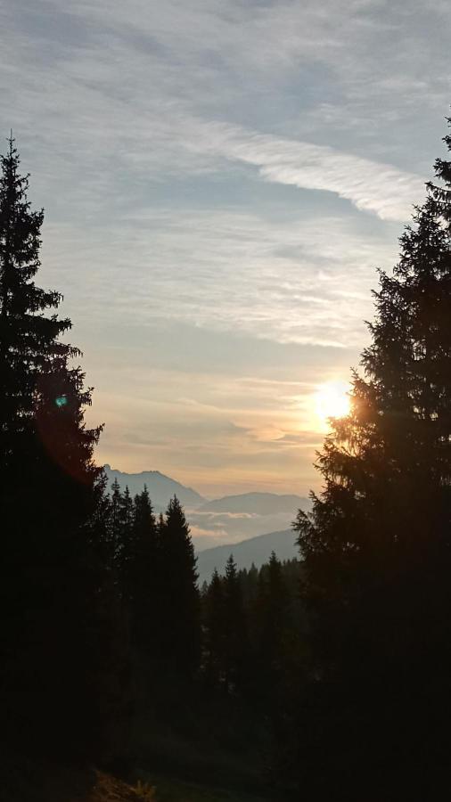 Appartmenthaus Hochkoenig Muhlbach Am Hochkonig Bagian luar foto