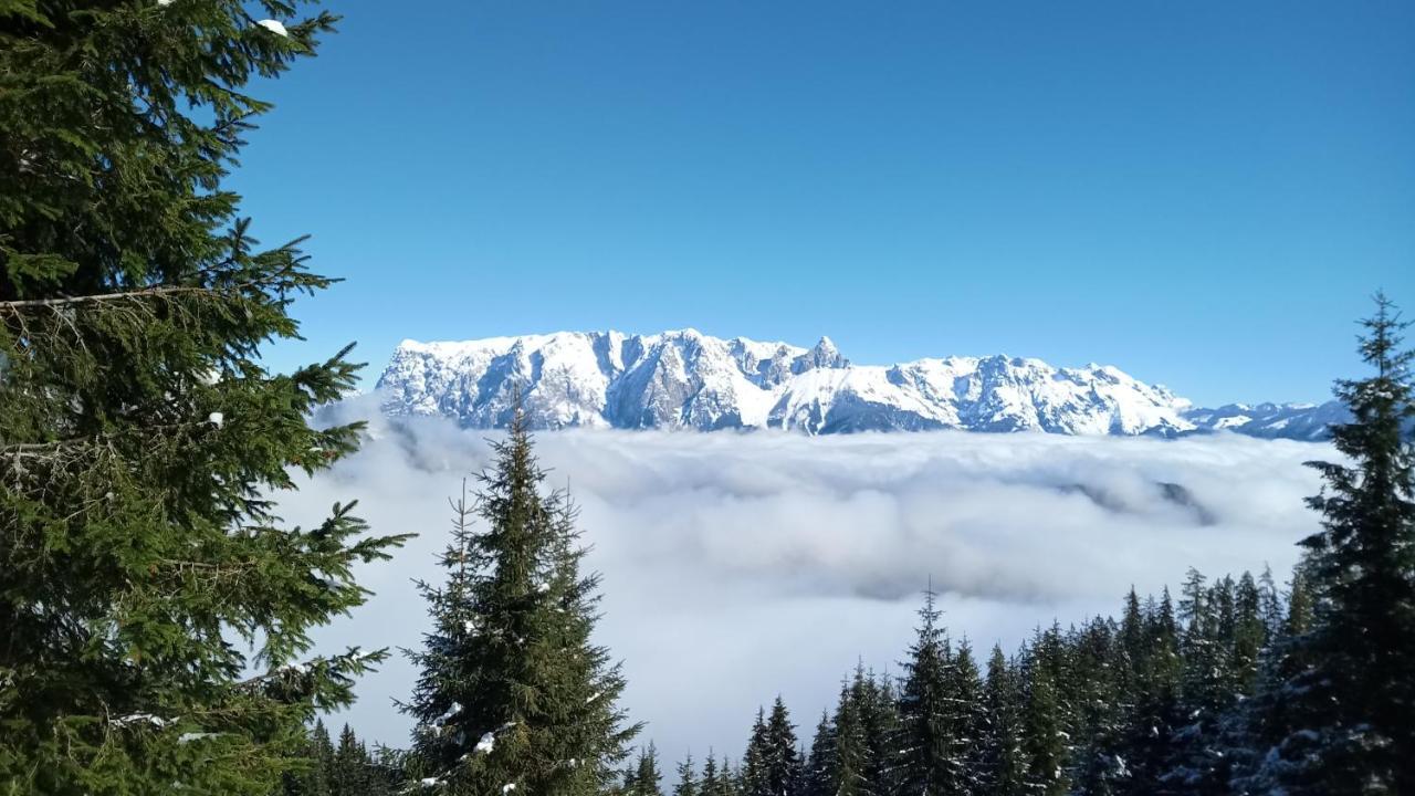Appartmenthaus Hochkoenig Muhlbach Am Hochkonig Bagian luar foto