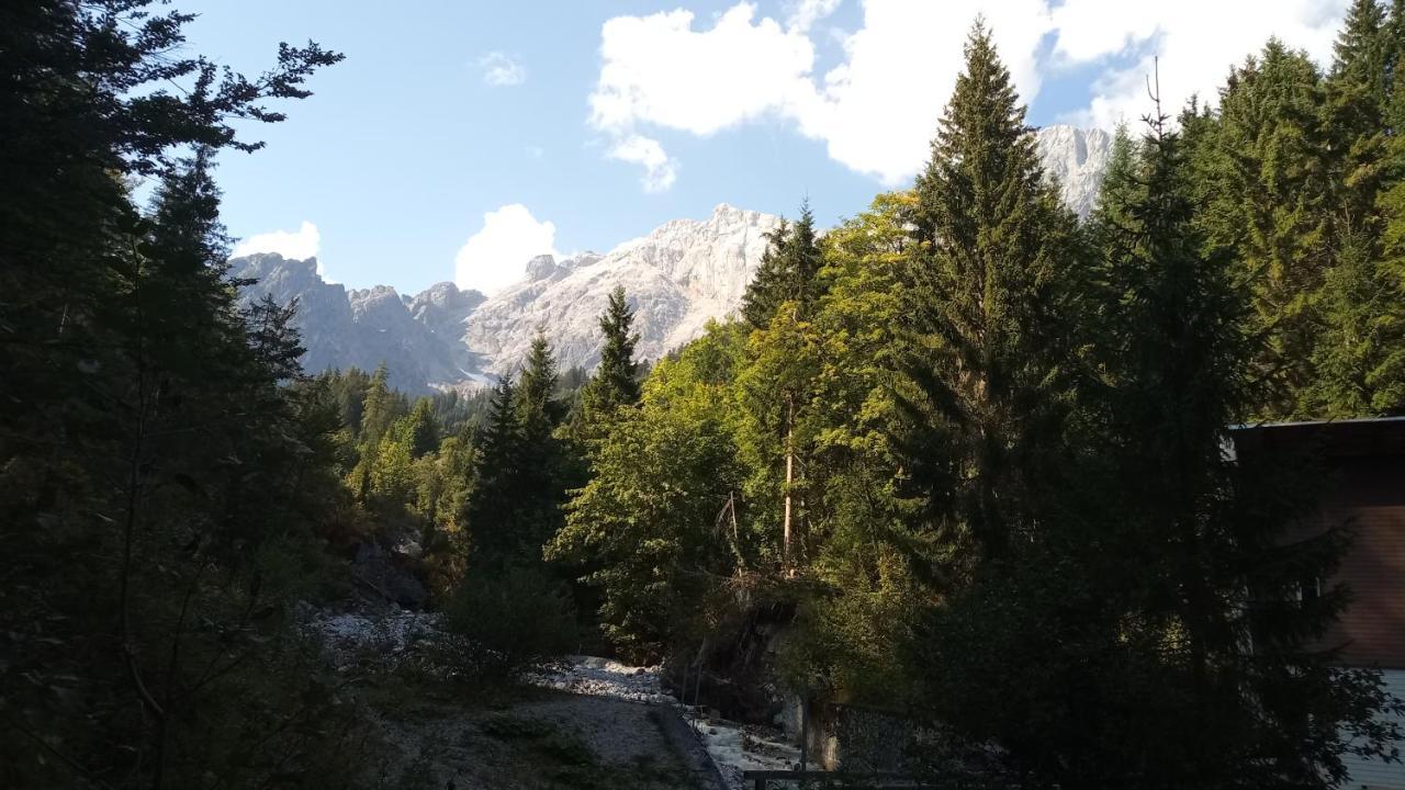 Appartmenthaus Hochkoenig Muhlbach Am Hochkonig Bagian luar foto
