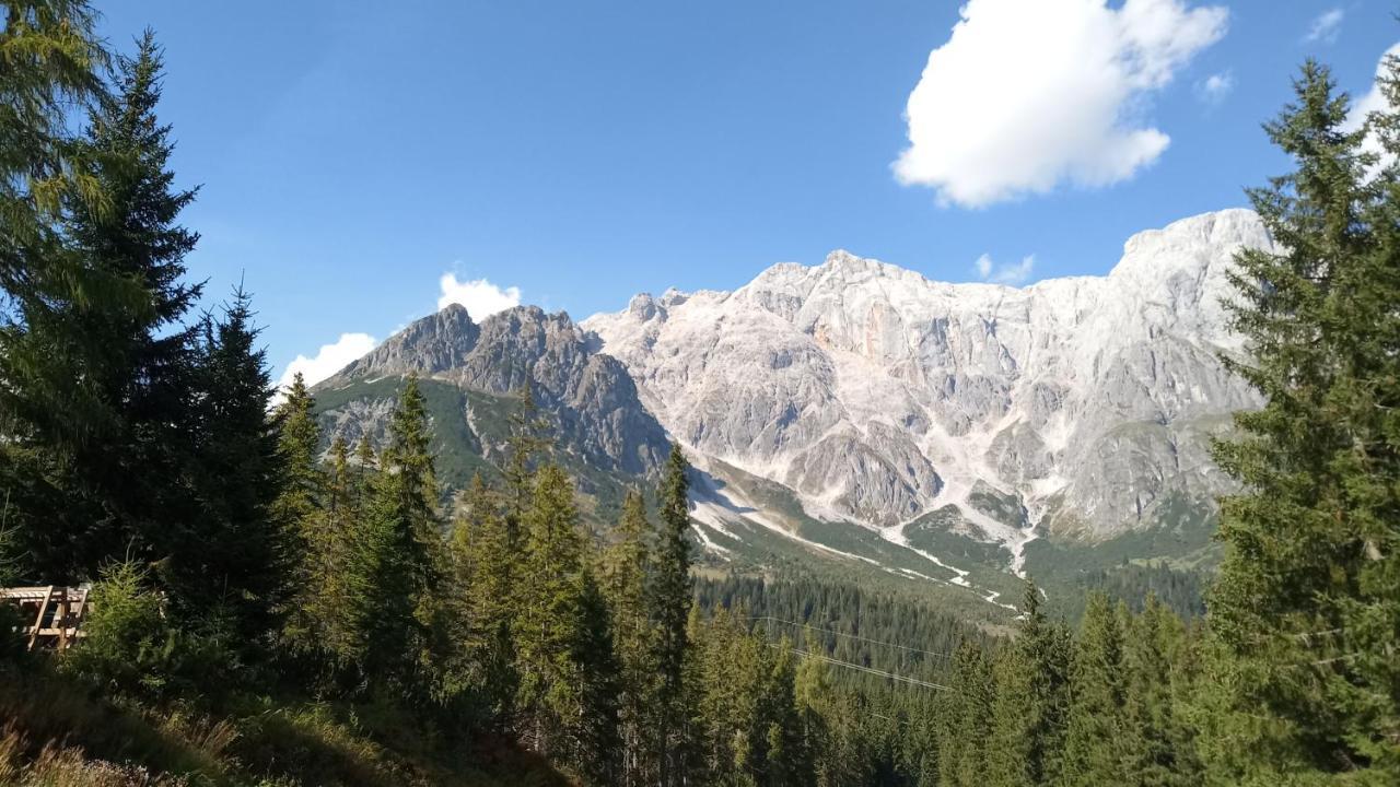 Appartmenthaus Hochkoenig Muhlbach Am Hochkonig Bagian luar foto