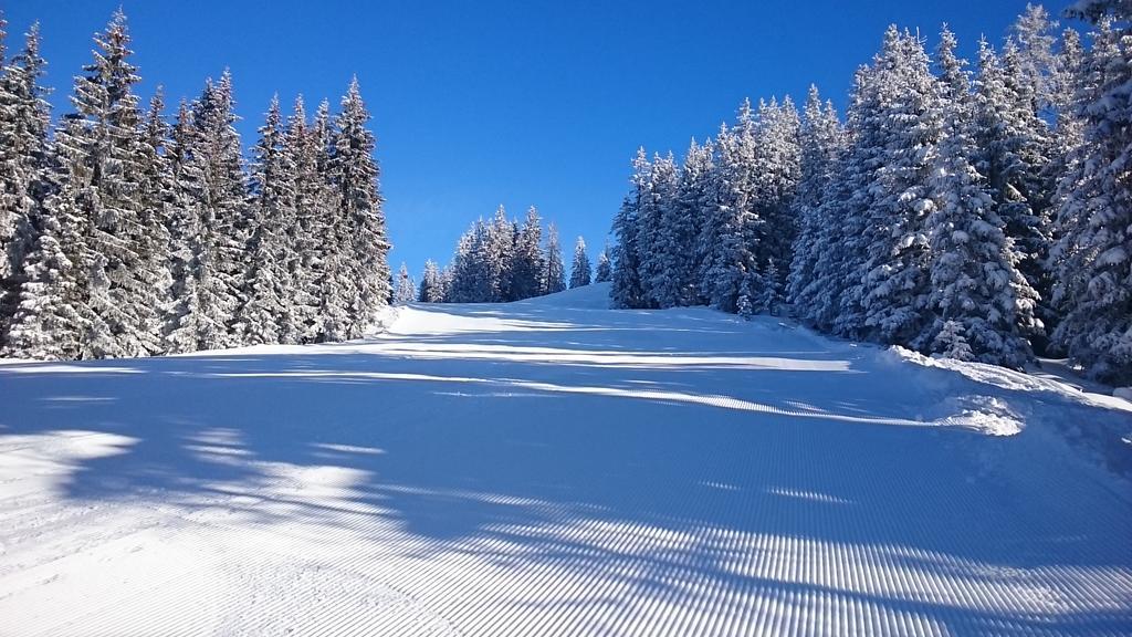 Appartmenthaus Hochkoenig Muhlbach Am Hochkonig Bagian luar foto