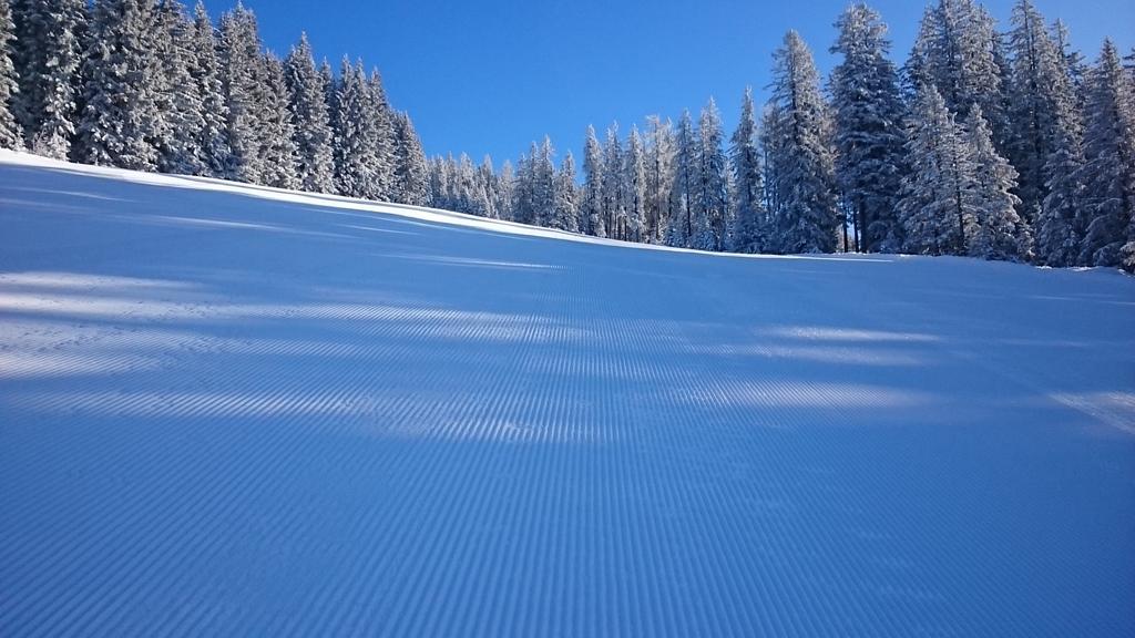 Appartmenthaus Hochkoenig Muhlbach Am Hochkonig Bagian luar foto