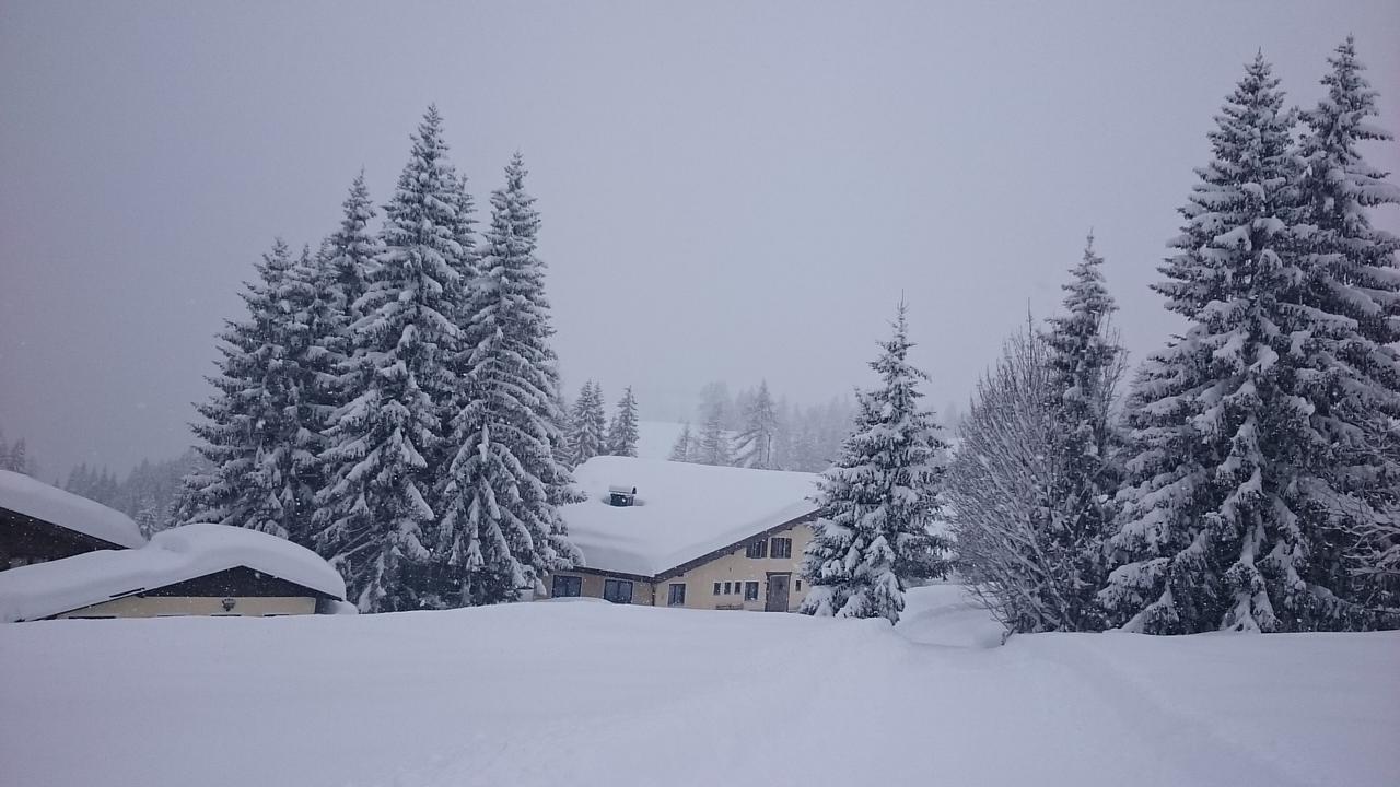 Appartmenthaus Hochkoenig Muhlbach Am Hochkonig Bagian luar foto