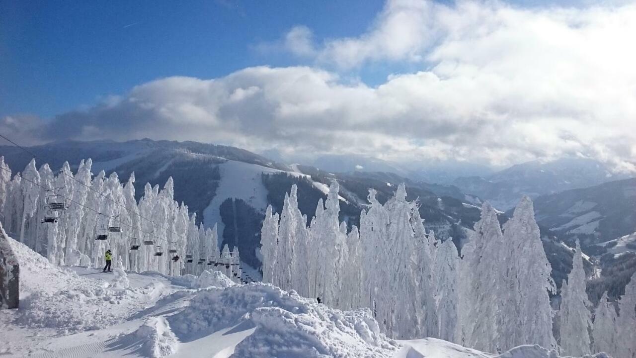 Appartmenthaus Hochkoenig Muhlbach Am Hochkonig Bagian luar foto