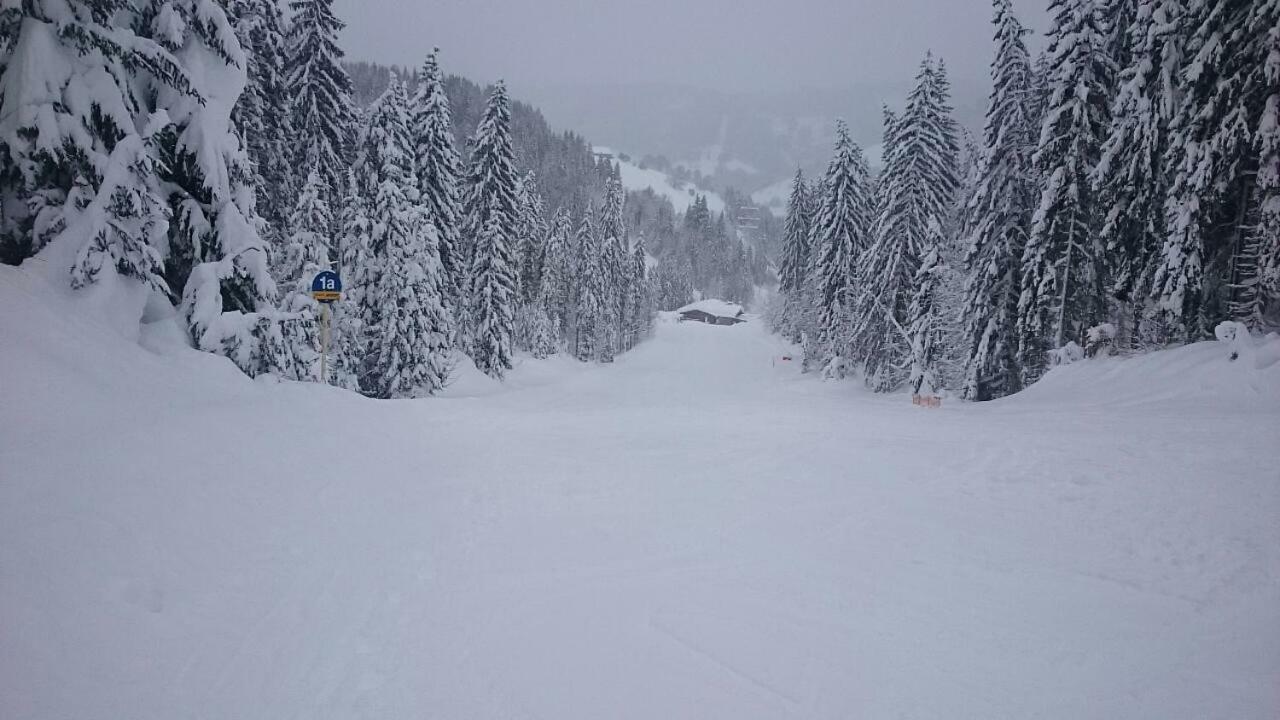 Appartmenthaus Hochkoenig Muhlbach Am Hochkonig Bagian luar foto